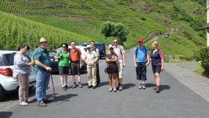 Die Zukunft der Rebsorten - Zukunftsreben, Piwis und MEHR @ vhs Cochem