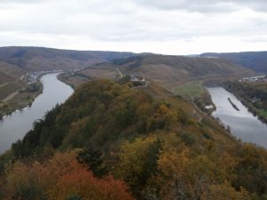 Die Zukunft der Rebsorten - Zukunftsreben, Piwis und MEHR @ vhs Cochem